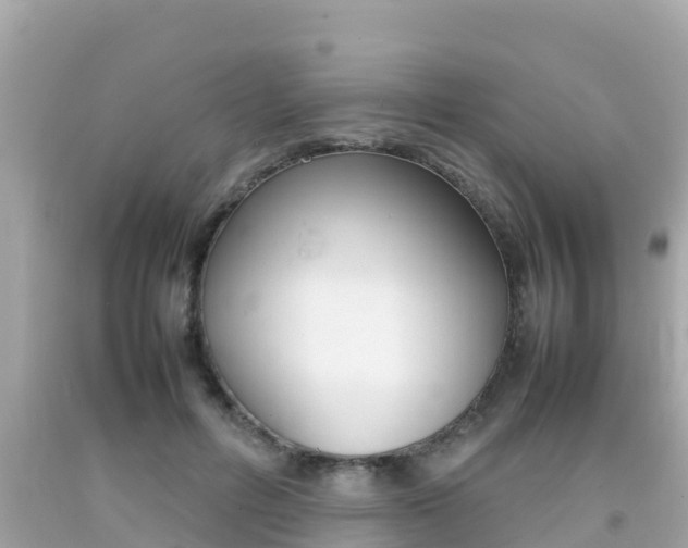 X0000092050600200709121026