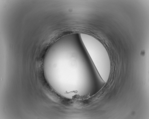 X0000092050601200709121026