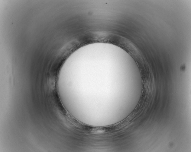 X0000092050602200709121026