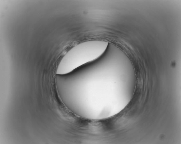 X0000092050603200709121026