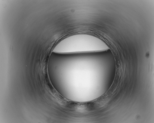 X0000092050604200709121026