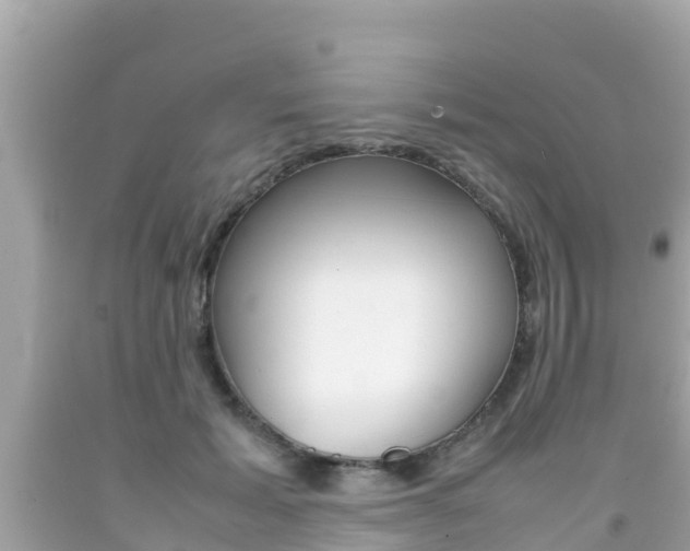 X0000092050605200709121026