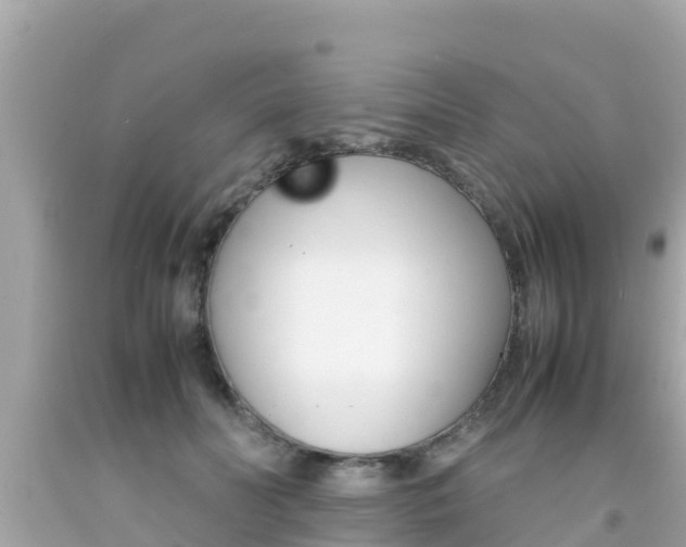 X0000092050606200709121026
