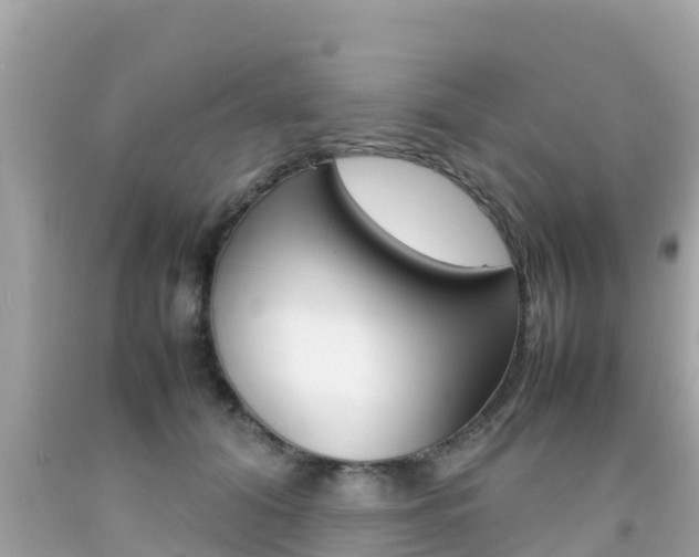 X0000092050608200709121026