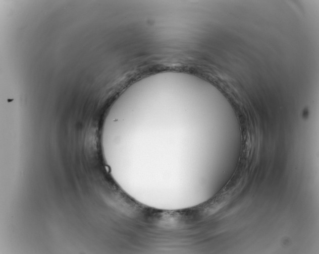 X0000092050612200709121026