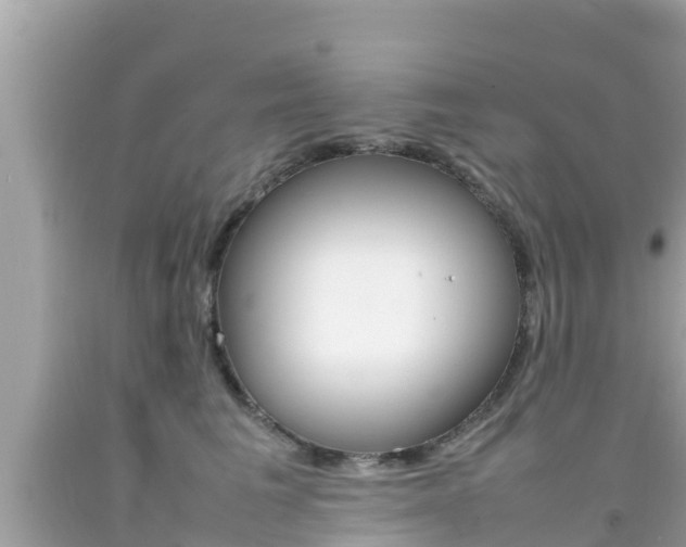 X0000092050613200709121026