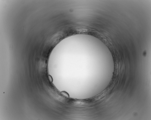 X0000092050614200709121026