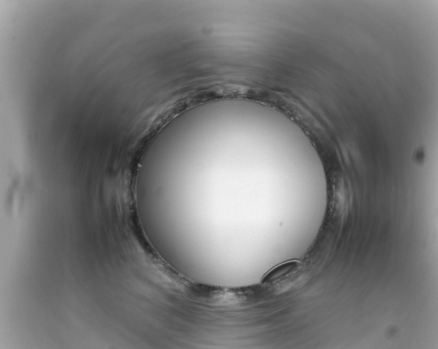 X0000092050616200709121026