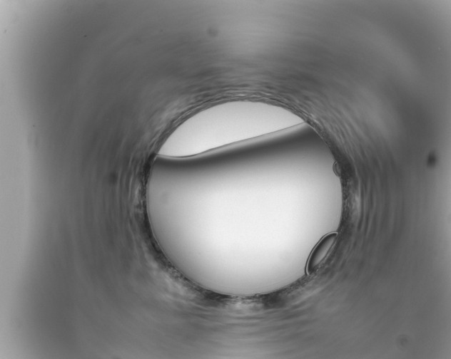 X0000092050619200709121026