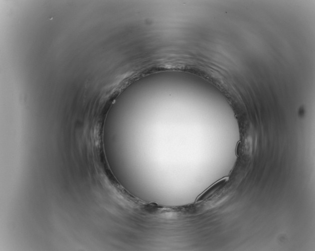 X0000092050620200709121026