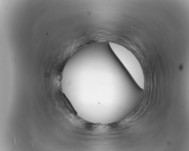 X0000092050621200709121026