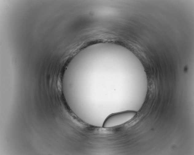 X0000092050622200709121026