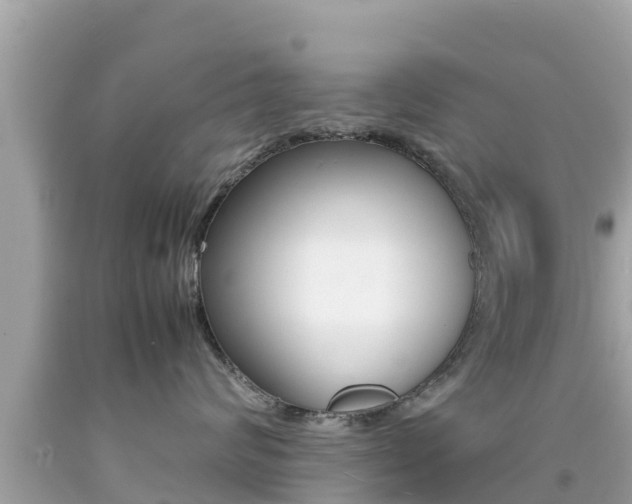 X0000092050624200709121026