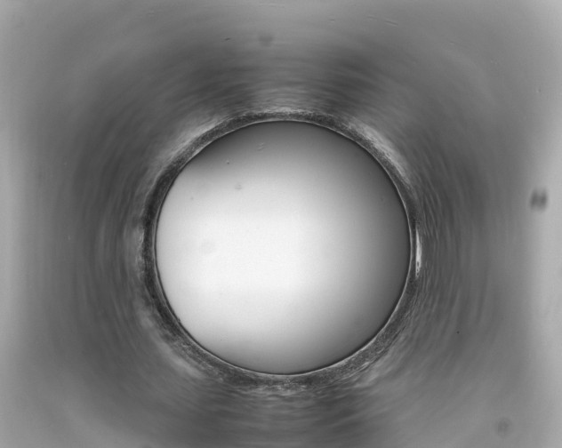 X0000092050627200709121025