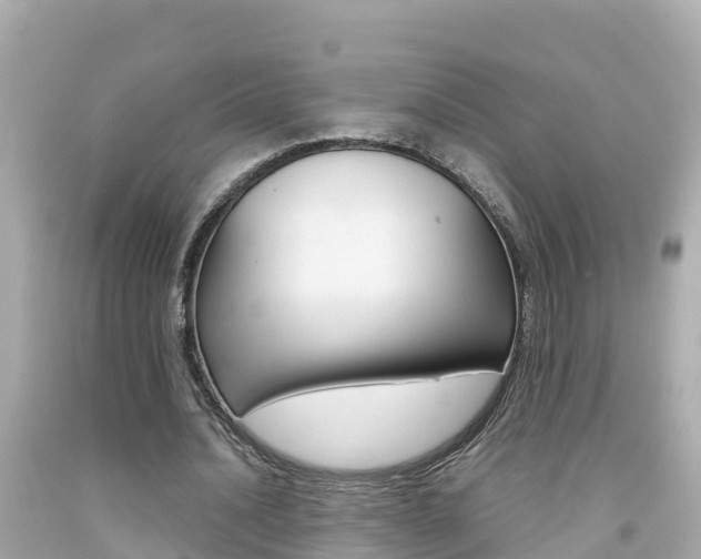 X0000092050628200709121025