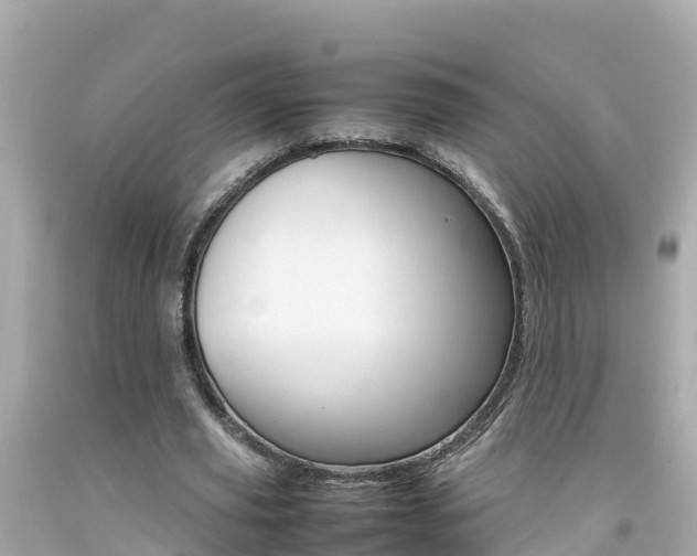 X0000092050629200709121025