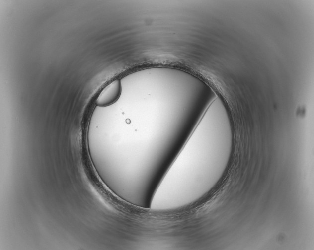 X0000092050630200709121026