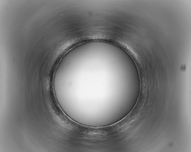 X0000092050631200709121026