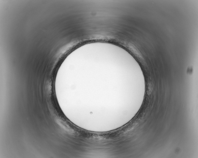 X0000092050632200709121026