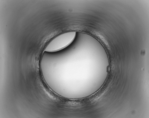 X0000092050633200709121026