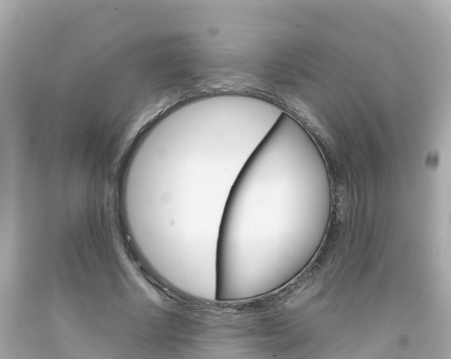 X0000092050634200709121026