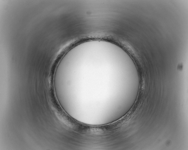 X0000092050636200709121026