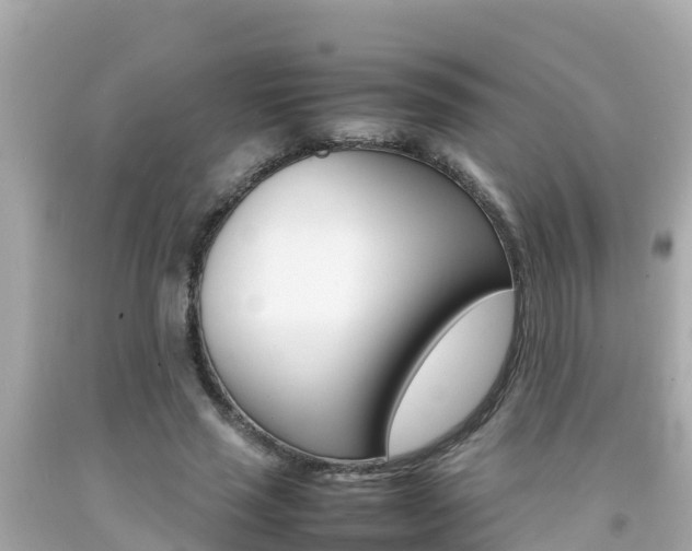 X0000092050637200709121026