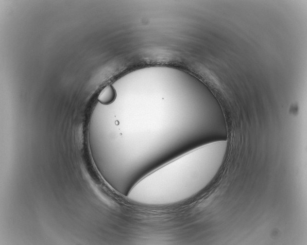 X0000092050638200709121026