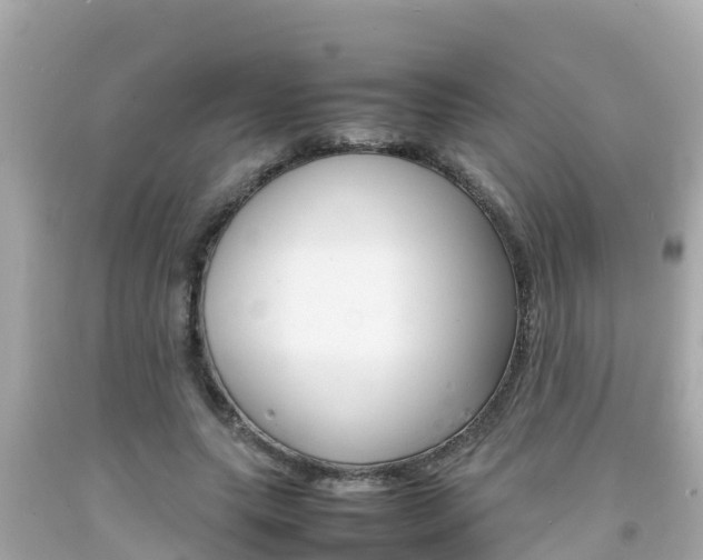 X0000092050639200709121026