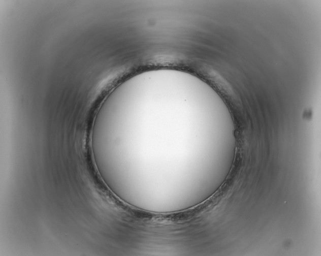 X0000092050640200709121026
