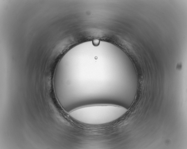 X0000092050642200709121026