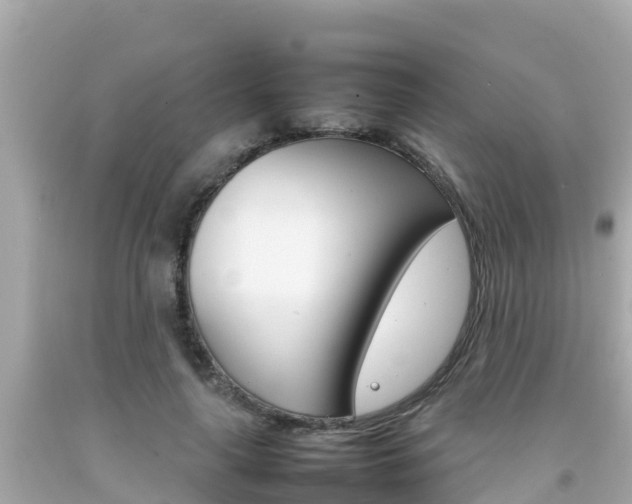 X0000092050643200709121026