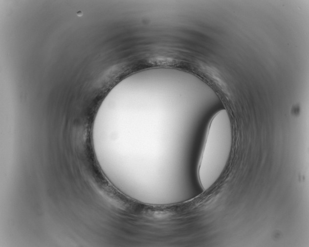 X0000092050645200709121026