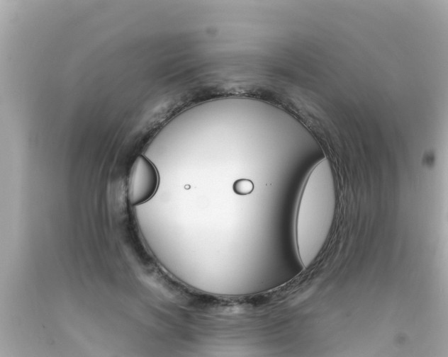 X0000092050646200709121026