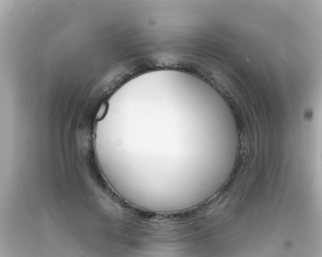 X0000092050648200709121026