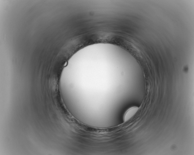 X0000092050651200709121026