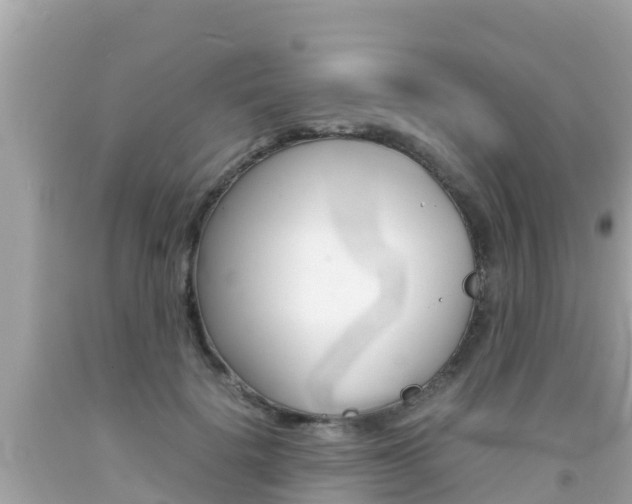 X0000092050652200709121026