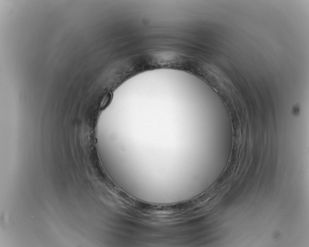 X0000092050653200709121026