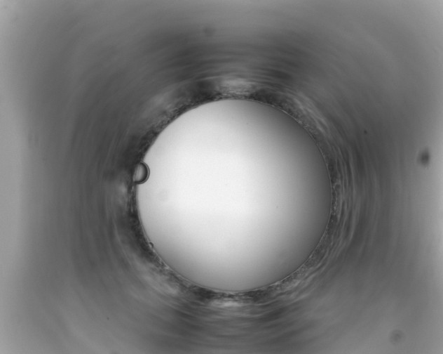 X0000092050655200709121026