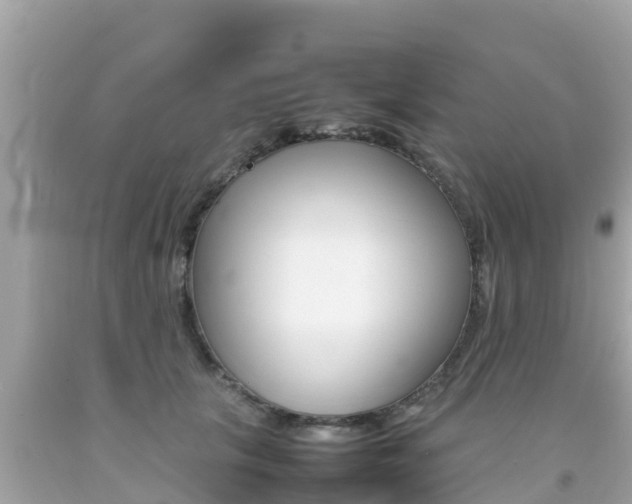 X0000092050657200709121026
