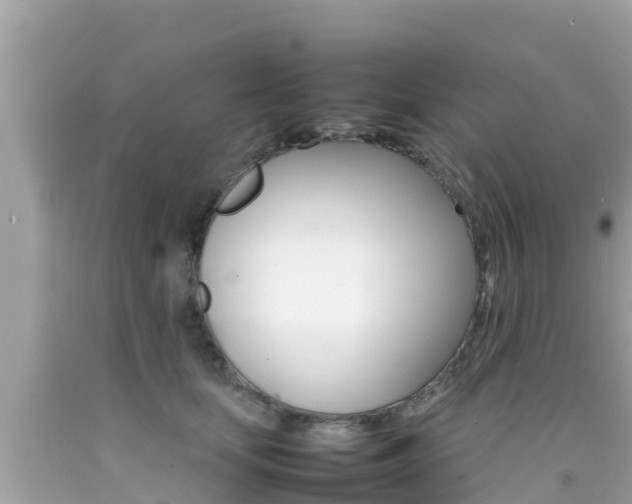 X0000092050659200709121026