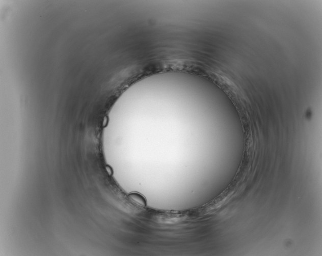 X0000092050661200709121026