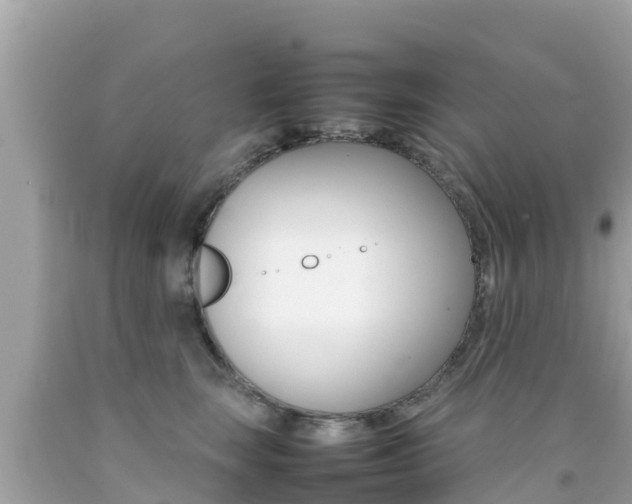 X0000092050663200709121026