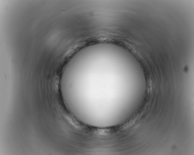 X0000092050664200709121026