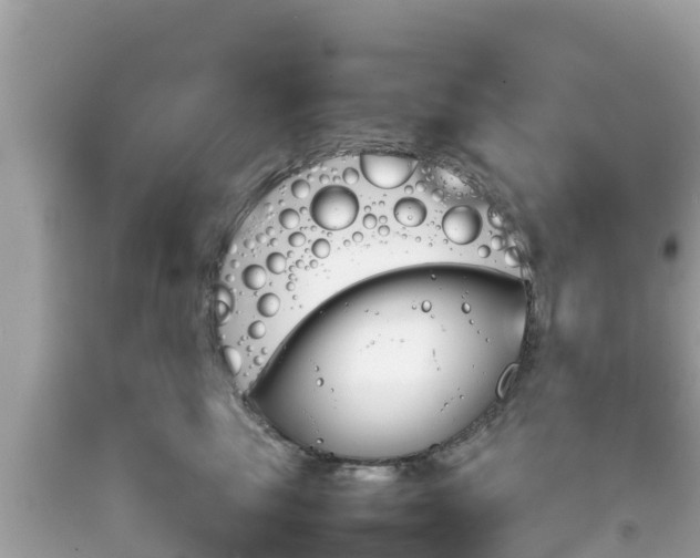 X0000092050665200709121026