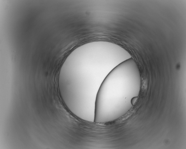 X0000092050666200709121026