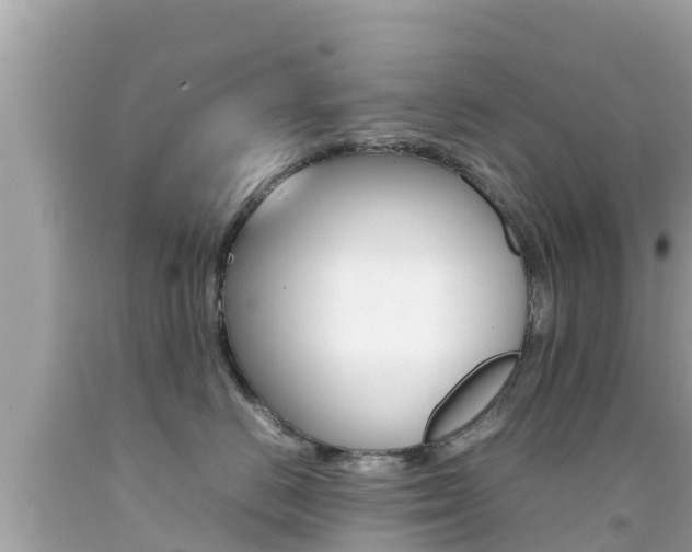 X0000092050670200709121026