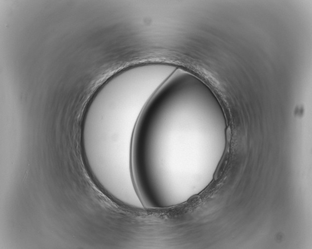 X0000092050673200709121025