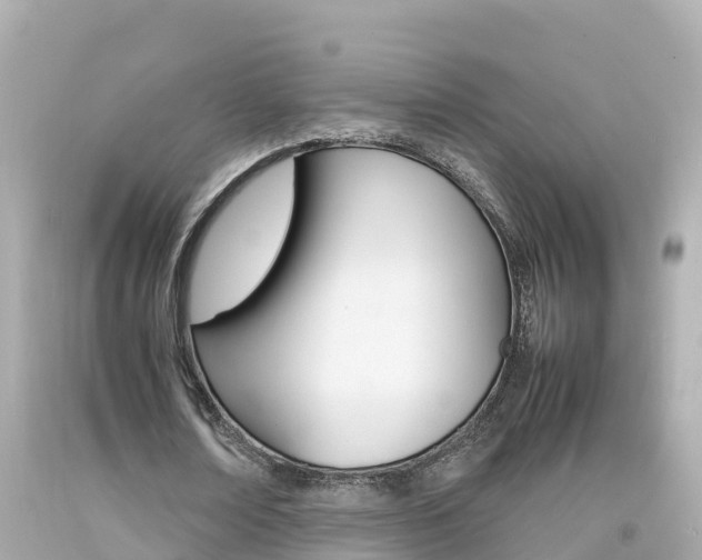 X0000092050674200709121025