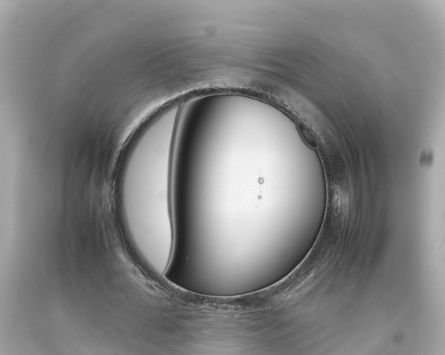 X0000092050676200709121025